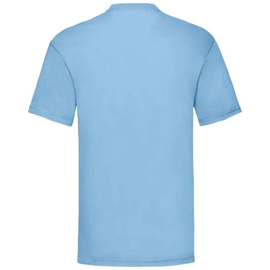 Fruit of the Loom Heren Valueweight T-Shirt (Sky) - Image 2