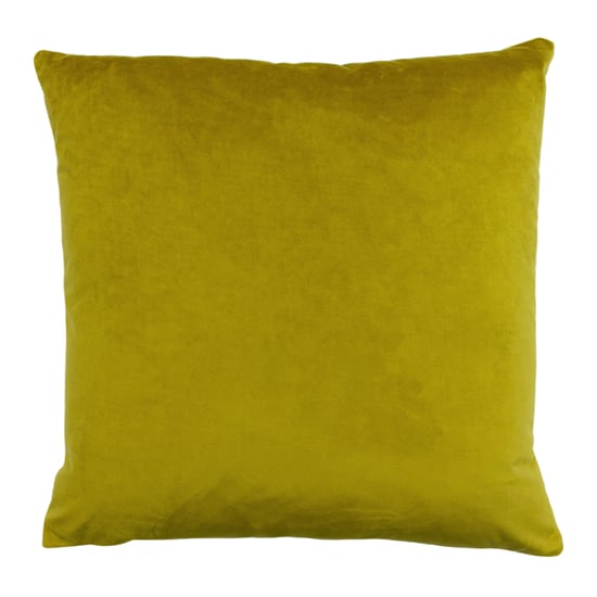 Paoletti Palmgrove Velvet Jacquard Feather Filled Cushion - Image 2