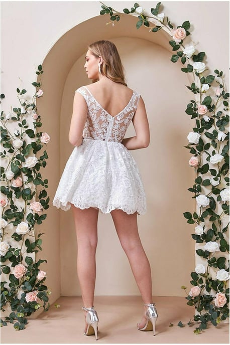 Lace Back Mini Skater Dress