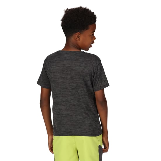 Regatta Childrens/Kids Fingal Edition Marl T-Shirt (Seal Grey) - Image 4