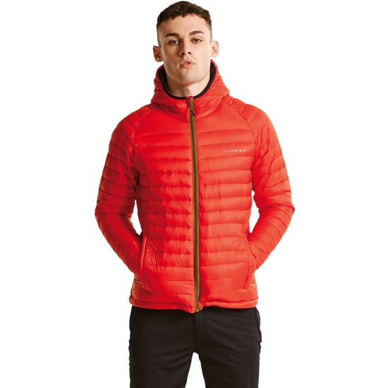 Dare 2b Mens Phasedown Water Repellant Hooded Nylon Down Jacket Top