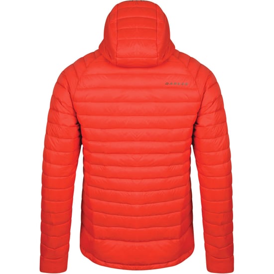 Dare 2b Mens Phasedown Water Repellant Hooded Nylon Down Jacket Top
