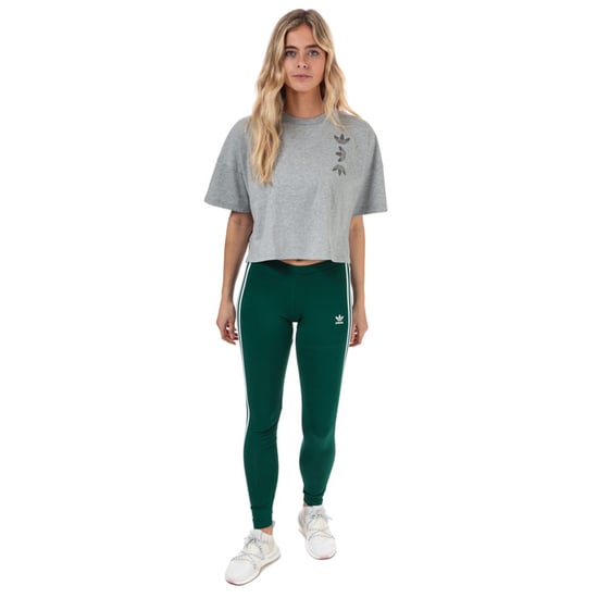 Women's adidas Originals 3-Stripes Leggings in Green
