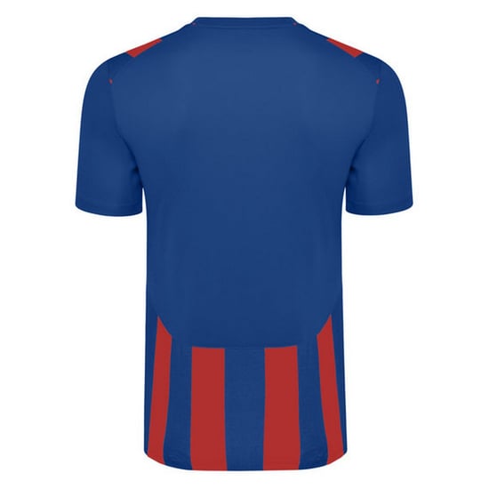 Umbro Kinderen/Kinderen Ramone Jersey (Koningsblauw/bermaillion) - Image 2