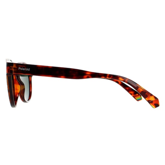 Polaroid Round Unisex Dark Havana Green Polarized Sunglasses
