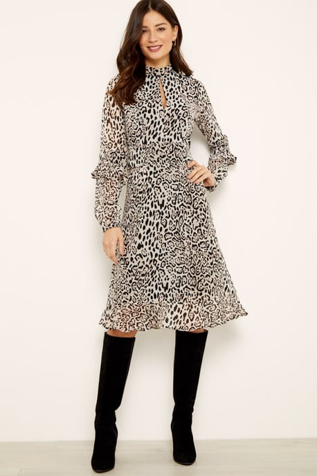 Leopard Print Fit & Flare Ruffle Dress
