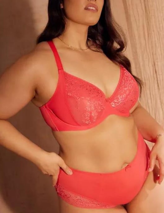 Sculptresse by Panache Roxie High Waist Brief