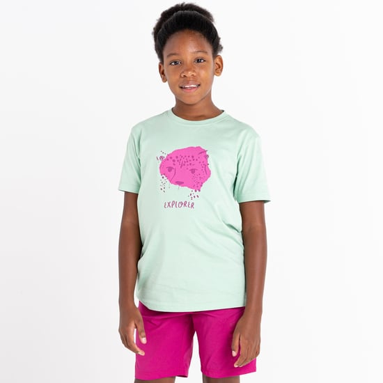 Dare 2B Childrens/Kids Trailblazer Leopard T-Shirt (Grayed Jade)