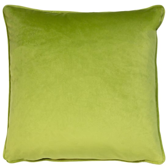Secret Garden Floral Cushion - Image 2