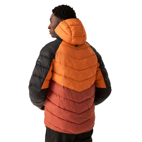 Regatta Mens Dalent Hooded Insulated Jacket (Fox/Red Ochre)