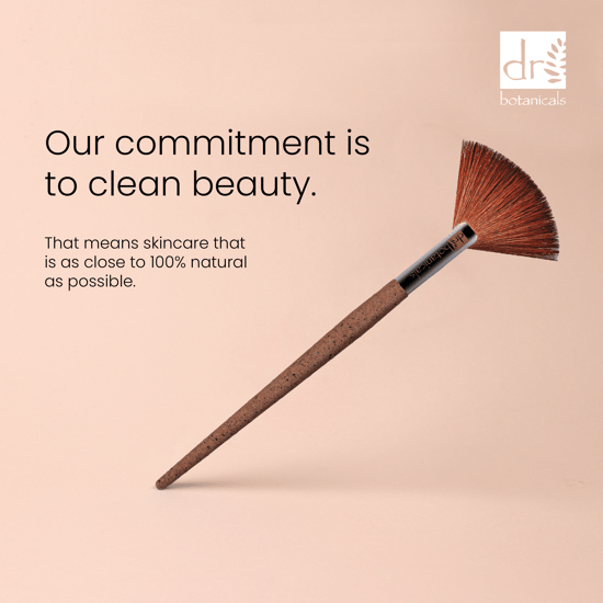 Dr Botanicals Coffee Ground Fan Brush - Image 3