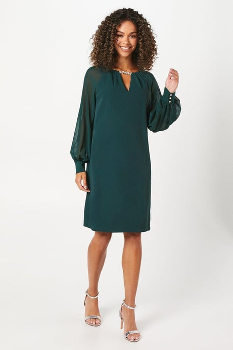 Occasion Embellished Chiffon Sleeve Shift Dress - Image 1