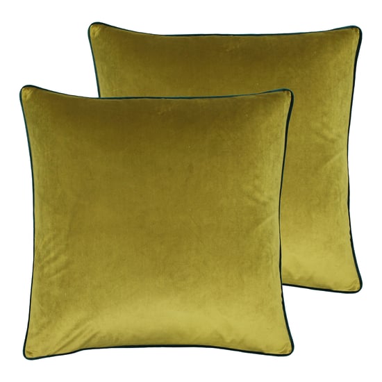 Meridian Cushions (Twin Pack)