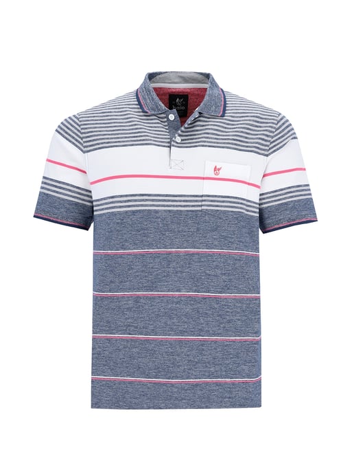 hajo polo - Image 1