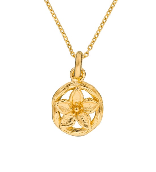 Orphelia Women's 925 Sterling Silver Set: Chain-Pendant + Earrings - Gold SET-6029/1