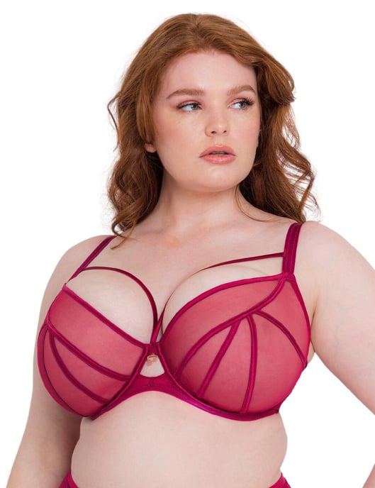 Scantilly by Curvy Kate Senses Plunge Bra -  Cherry