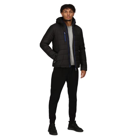 Regatta Mens Navigate Thermal Padded Jacket (Black/New Royal)