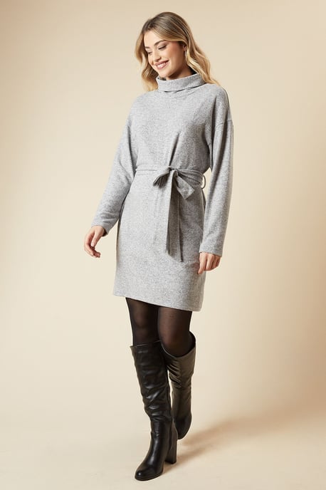 Brushed Roll Neck Mini Dress