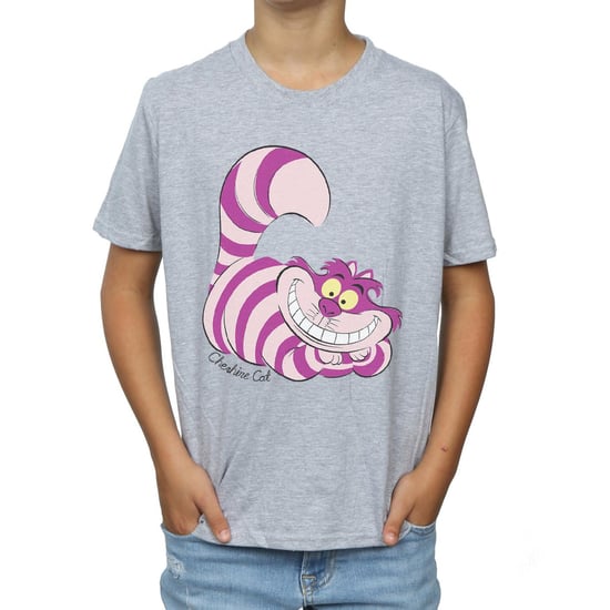 Disney Boys Alice In Wonderland Cheshire Cat T-Shirt (Sports Grey)