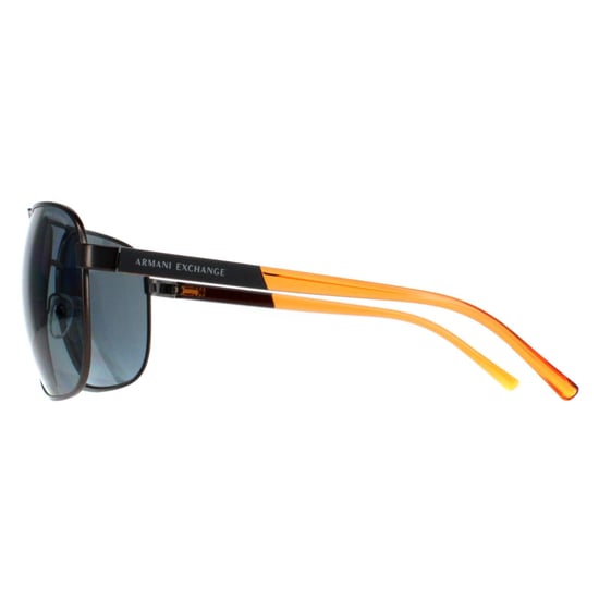 Armani Exchange Aviator Unisex Grey Grey Polarized AX2040S