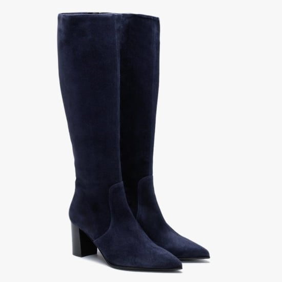 Lamica Suede Pointed Toe Knee Boots