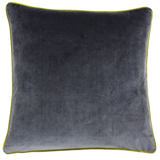 Meridian 55X55 Poly Cushion Cha/Mos - Image 1