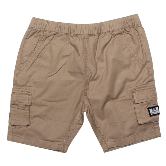 Boy's Weekend Offender Infant Mascia Cargo Short in Stone - Image 1