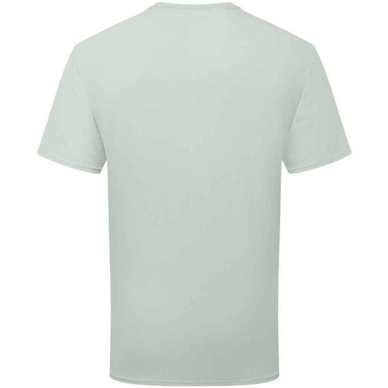 Fruit of the Loom Katoenen uniseks T-shirt voor volwassenen (Salie) - Image 2