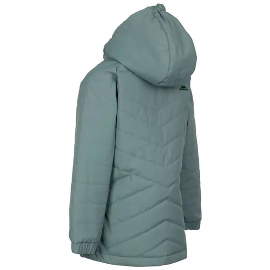 Trespass Kinder/Kids Andee Gewatteerd Casual Jasje (Wintergroene nevel) - Image 2