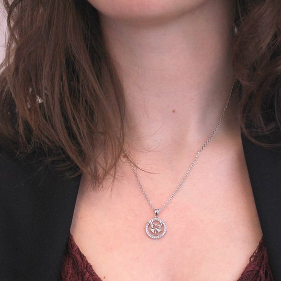 Kreeft Zodiac Hangers - Zilver en Kristal - Image 2