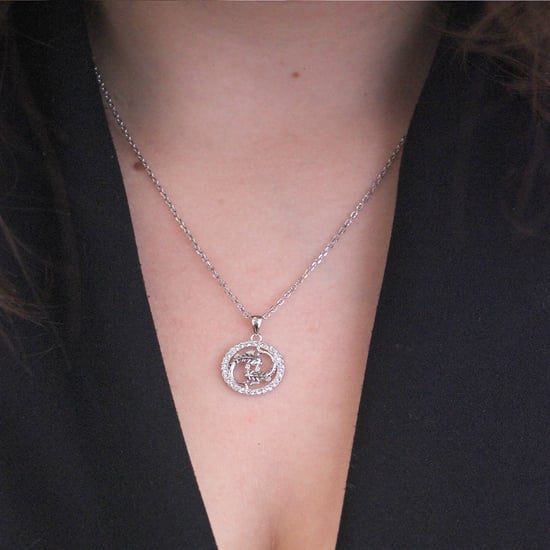 Vissen Zodiac Hangers - Zilver en Kristal - Image 2