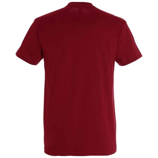 SOLS Unisex Imperial Zwaar T-shirt voor volwassenen (Chilli) - Image 2