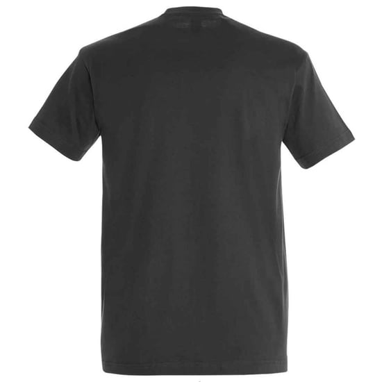 SOLS Unisex Imperial Zwaar T-shirt voor volwassenen (Muisgrijs) - Image 2