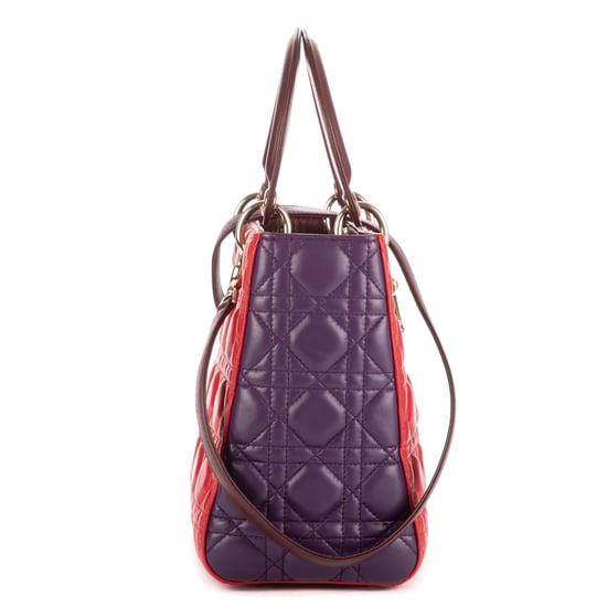 Medium Lady Dior Zip PM Handbag - Image 5