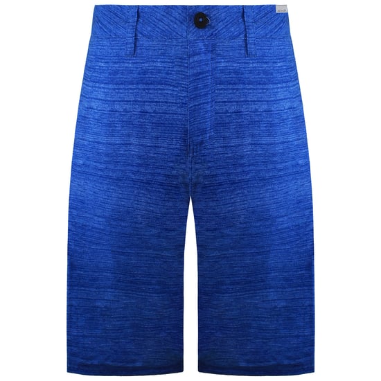 Quiksilver Platypus Amphibian Mens Blue Shorts - Image 1