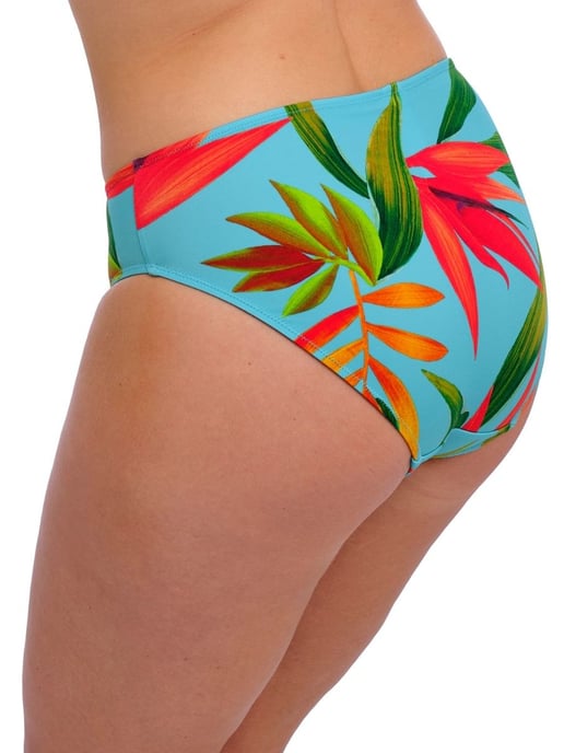Pichola Bikini Brief - Image 3