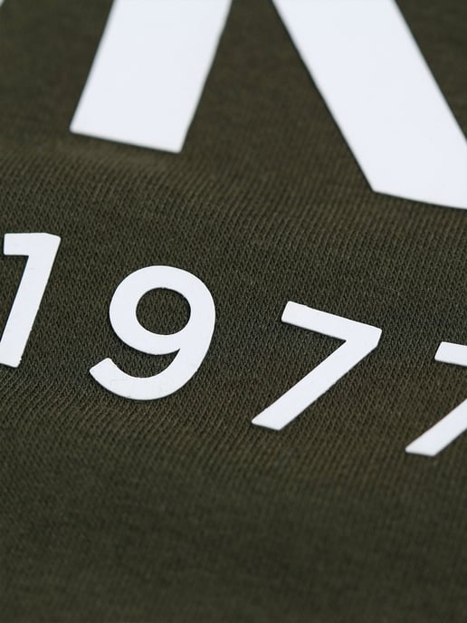 Luke 1977 Men's Grand Soft Cotton Relaxed Fit Overhead Hoodie in Green - Image 6