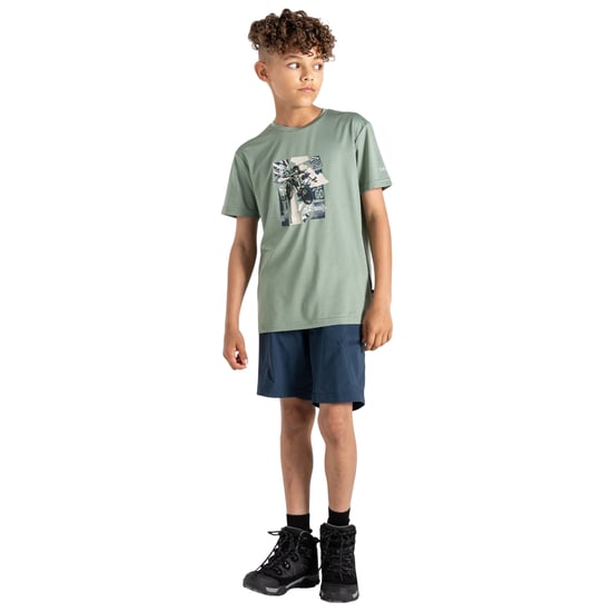 Dare 2B Kinderen/Kinderen Amuse II Aap T-Shirt (Lilypad) - Image 3