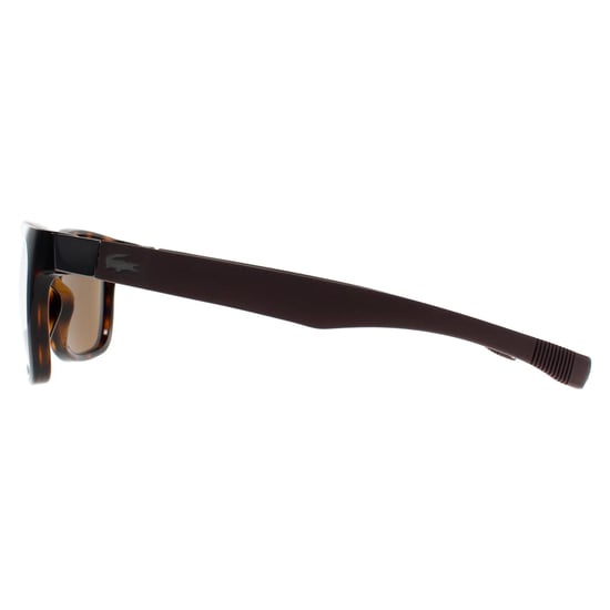 Lacoste Square Unisex Havana Brown Polarized L662SP - Image 3