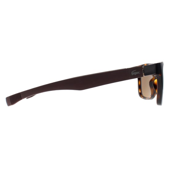 Lacoste Square Unisex Havana Brown Polarized L662SP - Image 4
