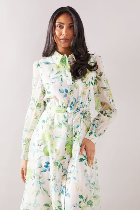 Petite Fruit Print Organza Belted Shirt Dress - Image 2