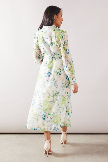 Petite Fruit Print Organza Belted Shirt Dress - Image 3