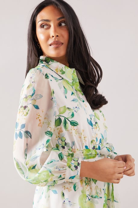 Petite Fruit Print Organza Belted Shirt Dress - Image 4
