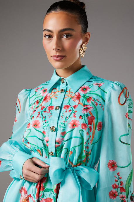 Boarder Print Organza Shirt Dress - Image 3