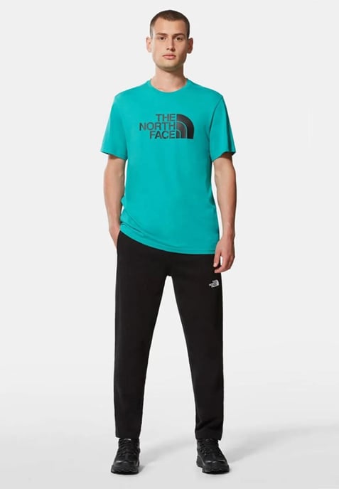 The North Face Mens T Shirt SS Easy Tee Porcelain Green - Image 4