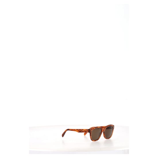 Celine Oversized Triomphe Monogram Sunglasses In Brown Acetate - Image 6