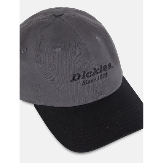Dickies Everyday Dickies Katoenen Twill Unisex Volwassenen Grijze Baseball Caps - Image 5