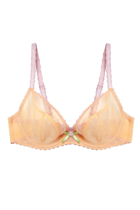 Deja Day Grace Supportive Plunge Net Bra - Image 1