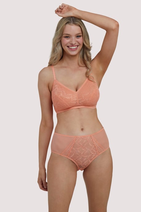 Deja Day Emma Coral High Waist Brief - Image 1