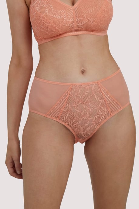 Deja Day Emma Coral High Waist Brief - Image 3
